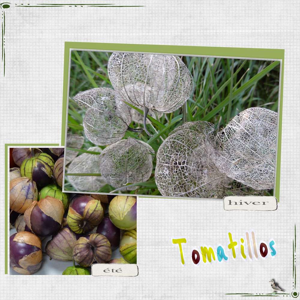 Tomatillos