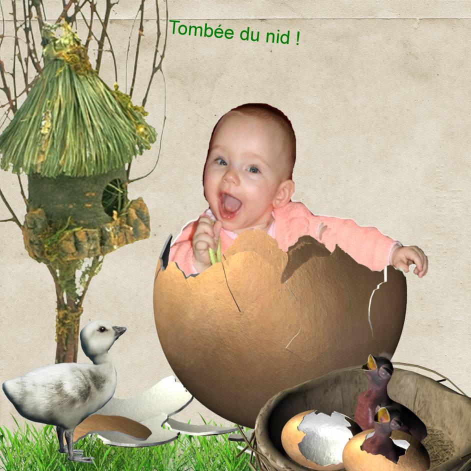 Tombée du nid !