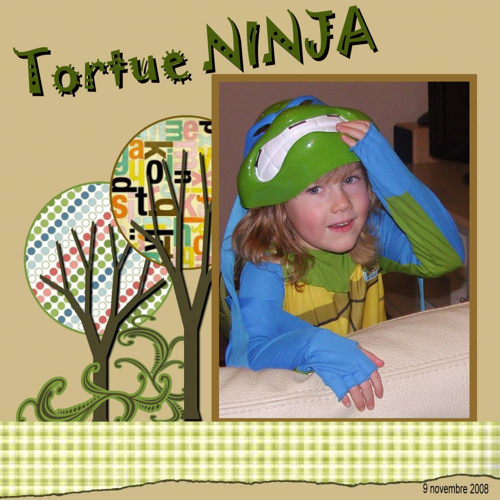 Tortue Ninja