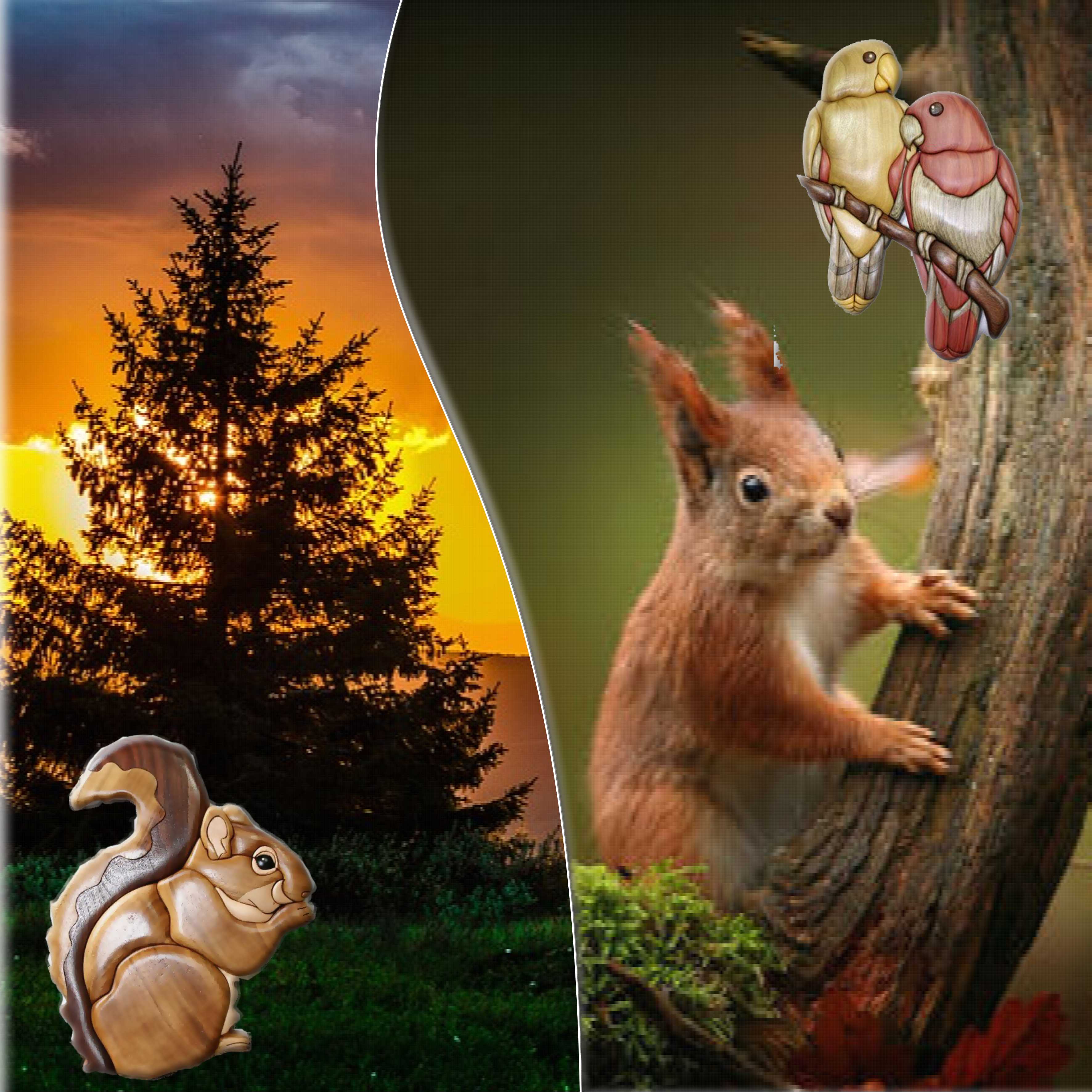 toujour avec  le bois.jpg