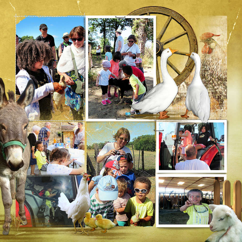 toujours à la ferme