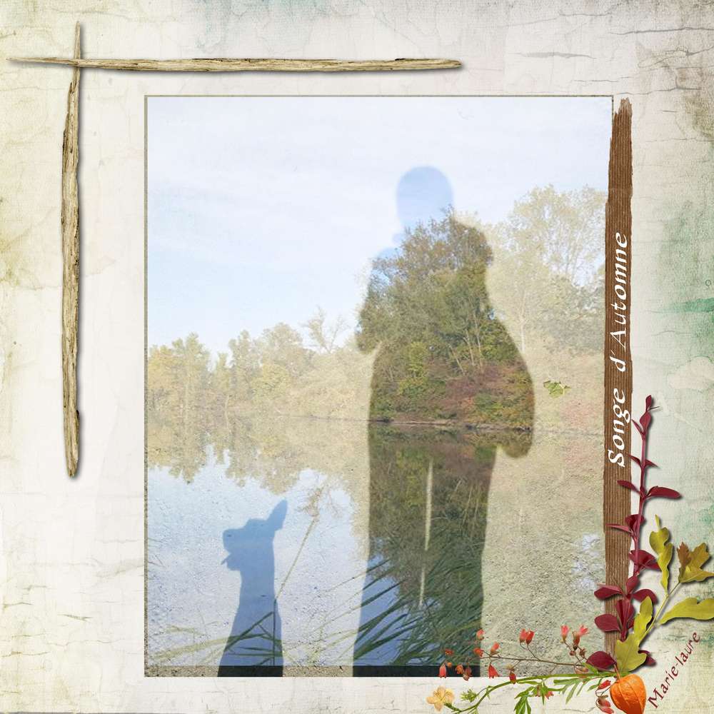 Toujours dans le Ried alsacien .....