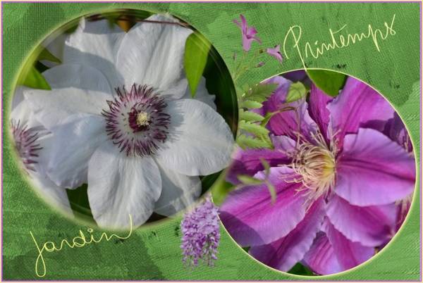 Toujours la fête des plantes à Jenzat ( Allier)