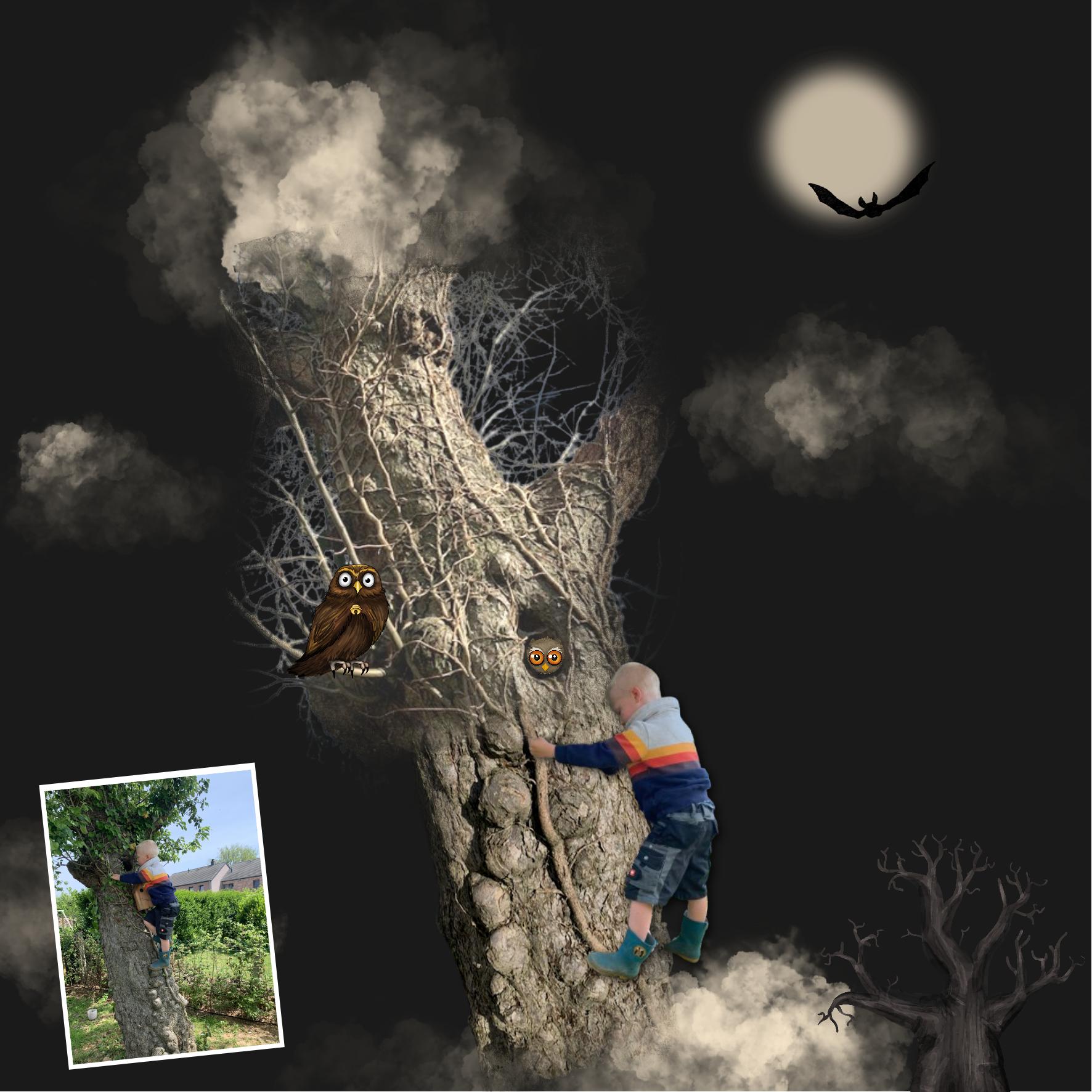 toujours plus haut.jpg