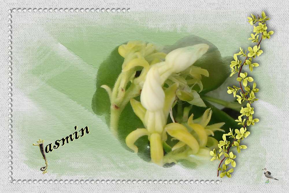 toujours sur le balcon