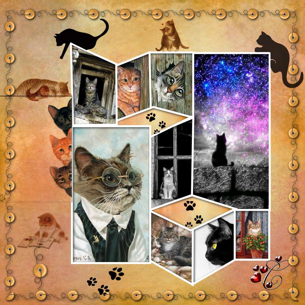 toujours_des_chats01