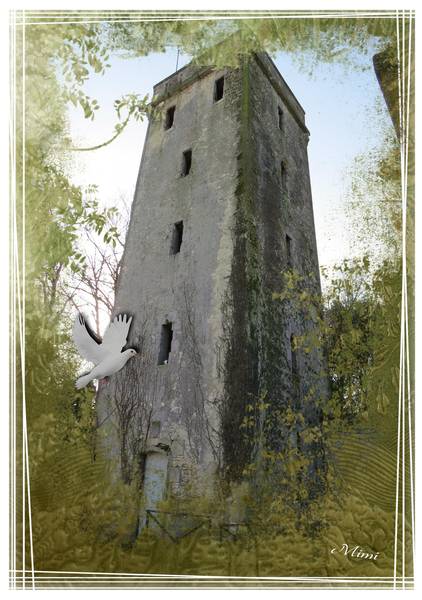 Tour dans le parc de la Mairie