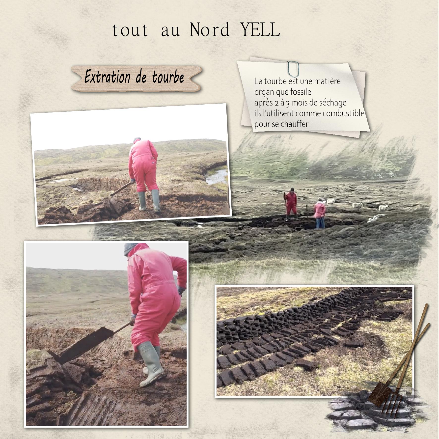 tourbe.jpg