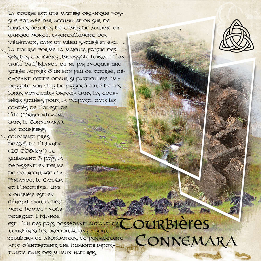Tourbière Connemara