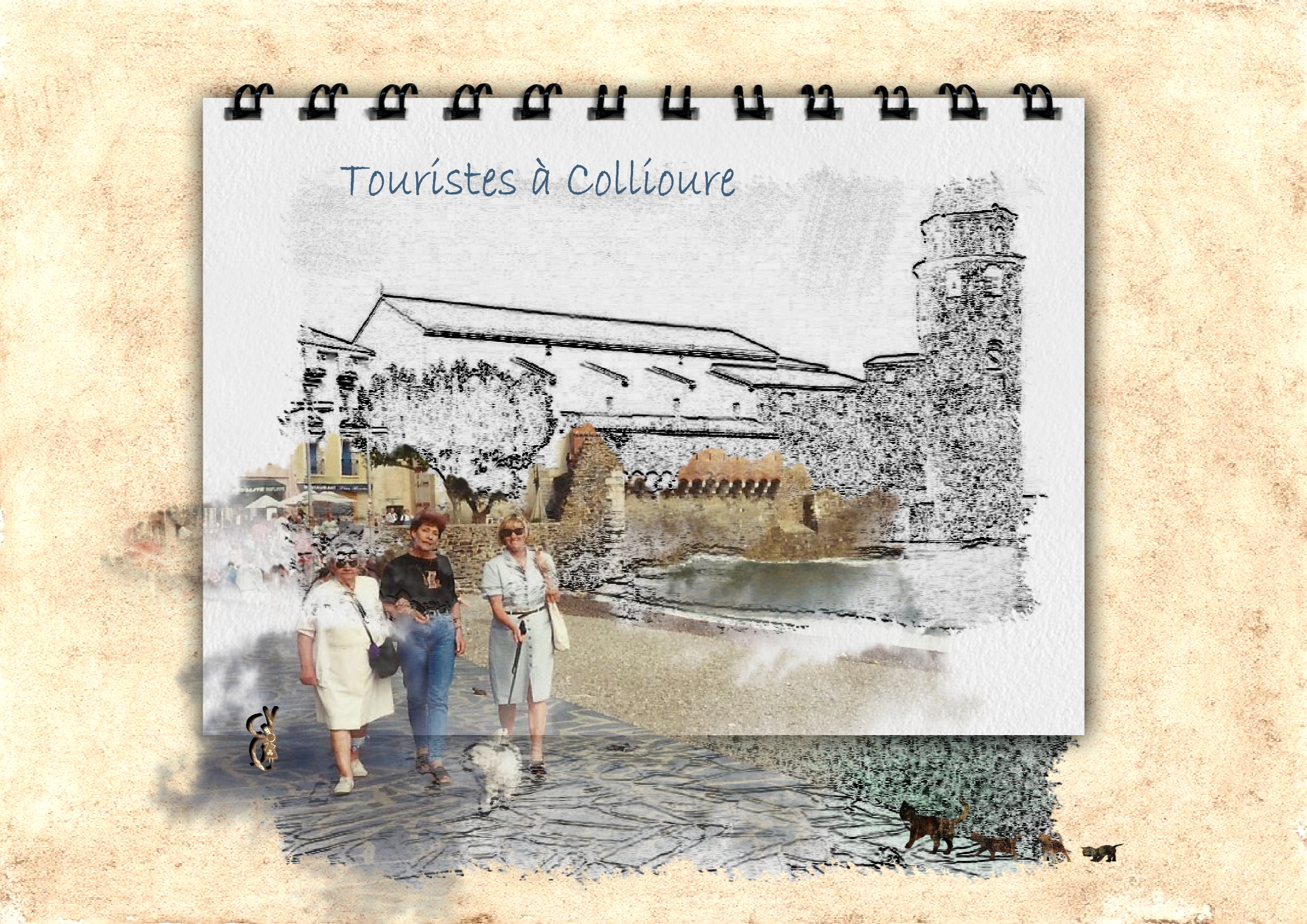 Touristes à Collioure.jpg