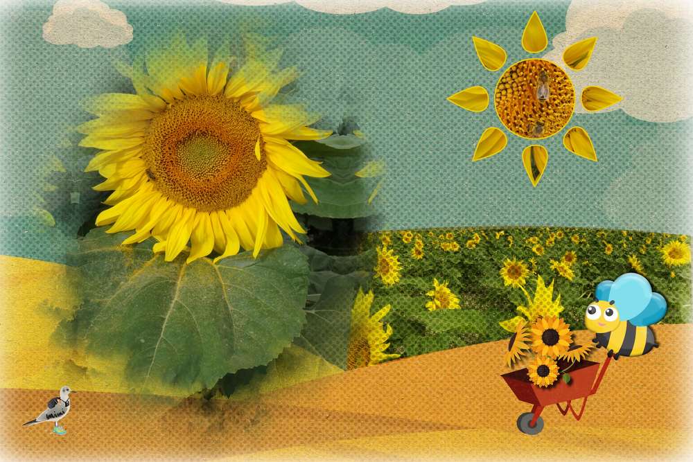 Tournesol.....
