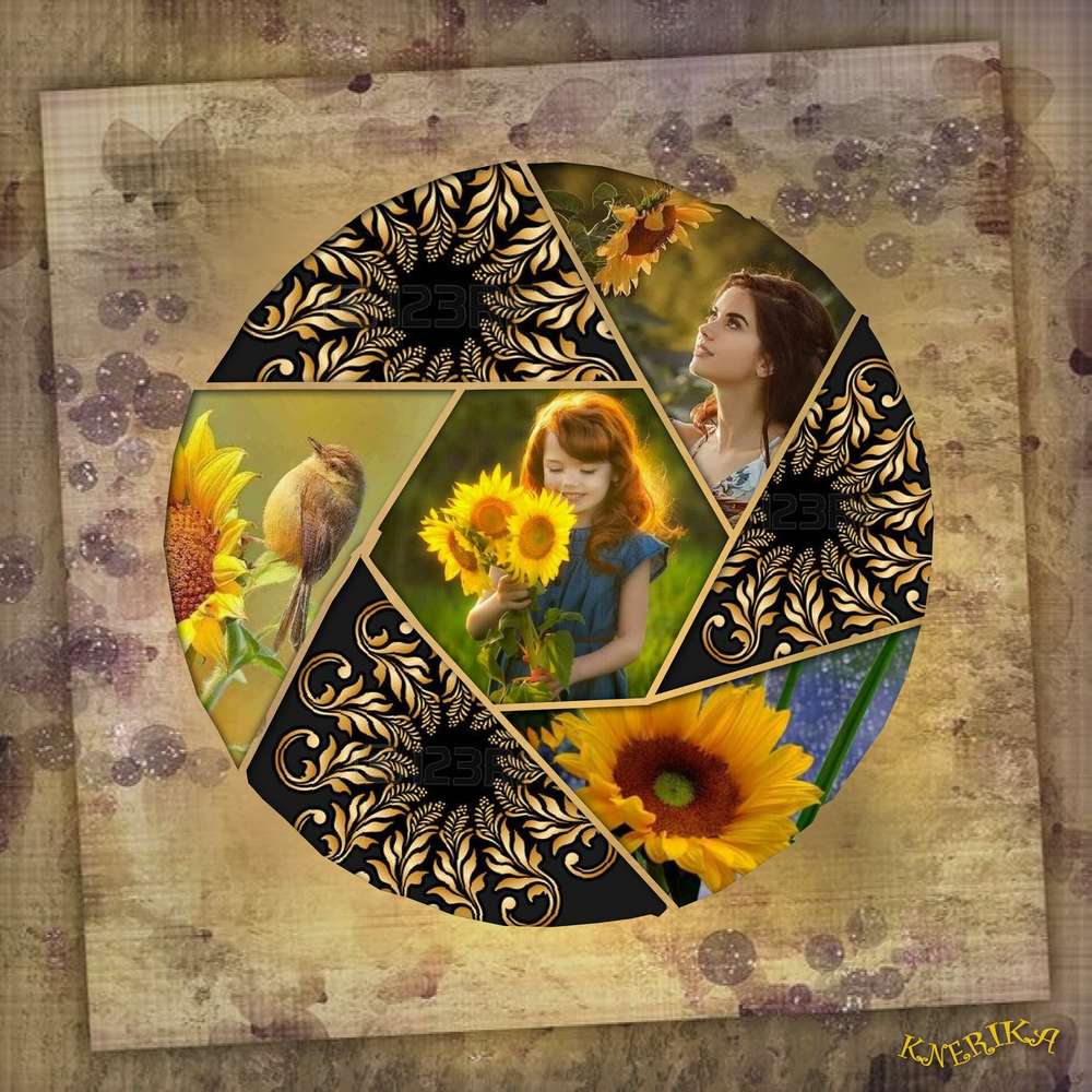 tournesol_en_rosace_Anne_Marie