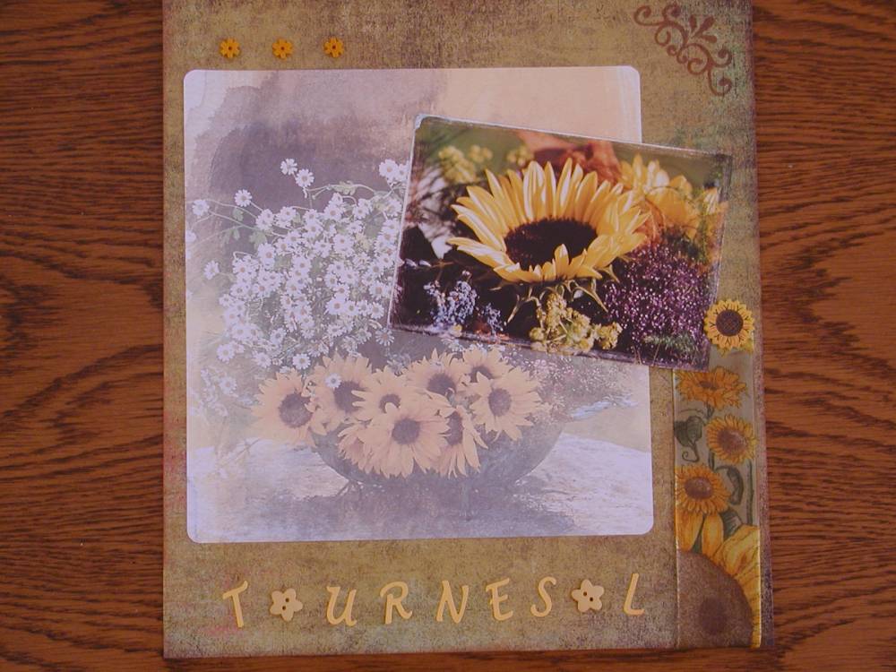 Tournesols