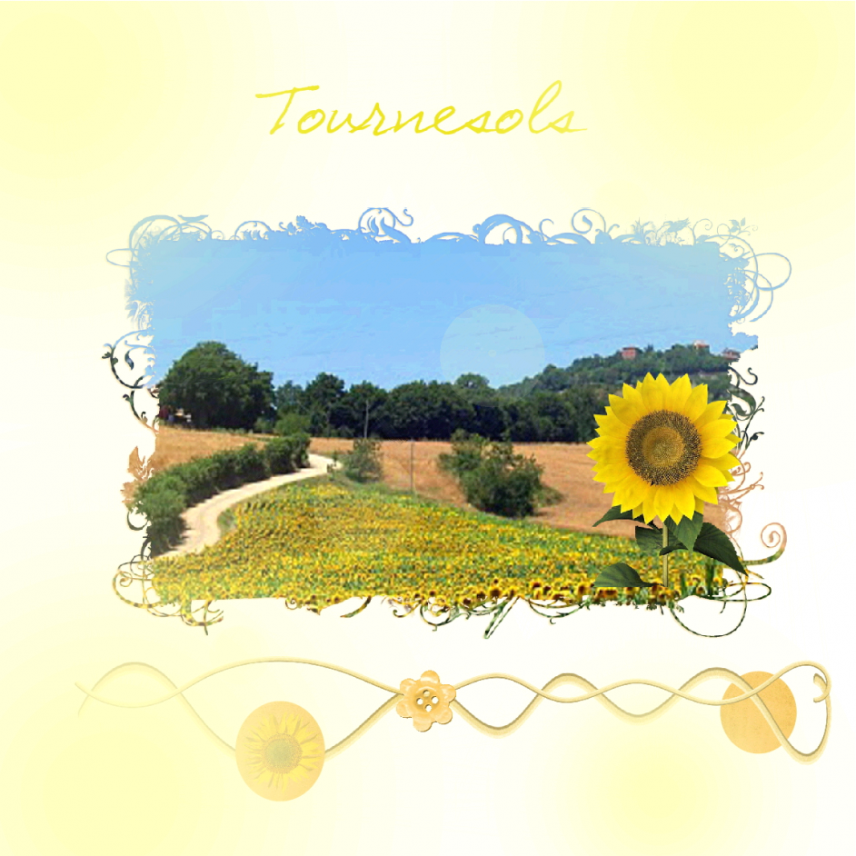 Tournesols