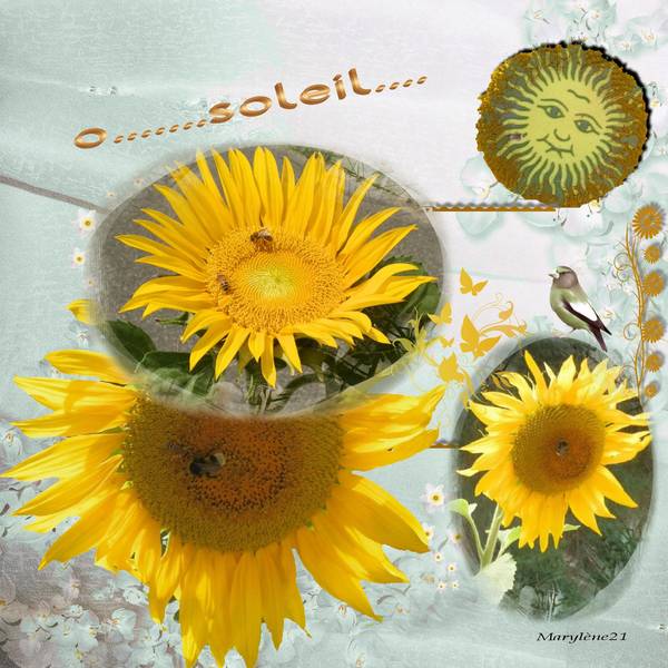 TOURNESOLS