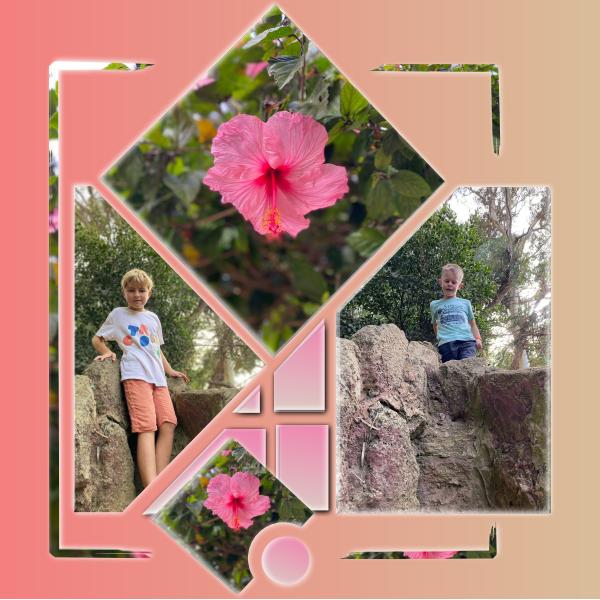 Tous les deux  arrivés en haut.