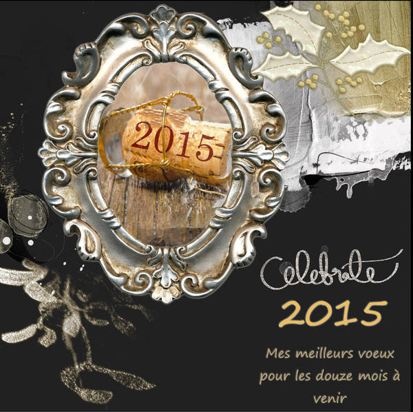 Tous mes bons voeux pour la nouvelle année ...