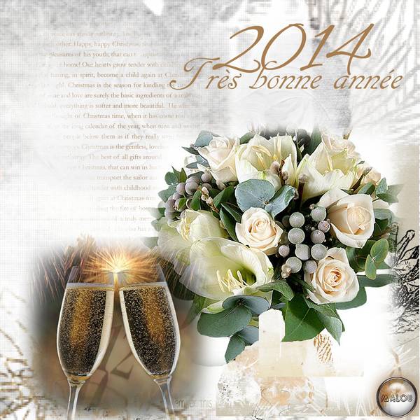 Tous mes meilleurs voeux pour la nouvelle année...