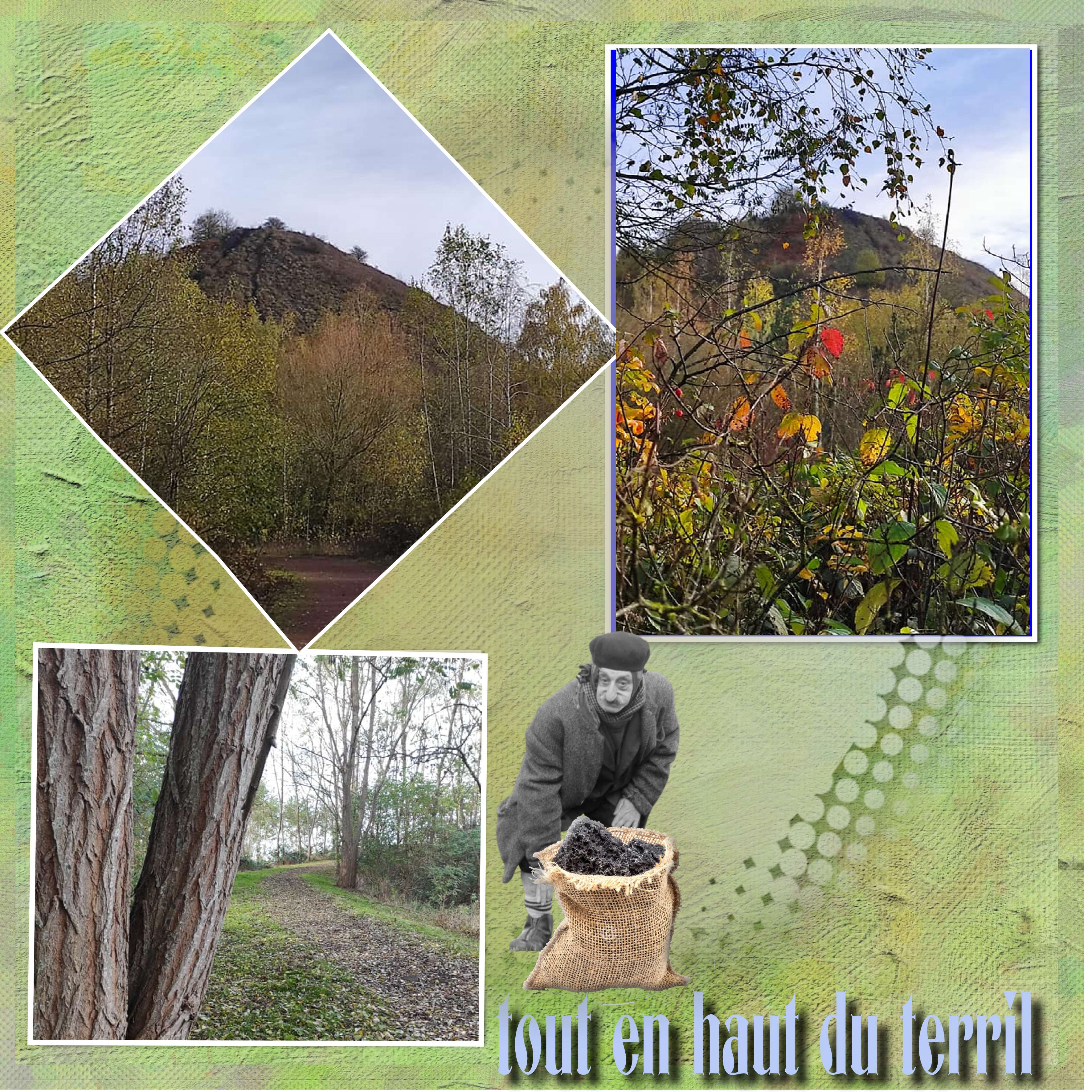 tout en haut du terril.jpg