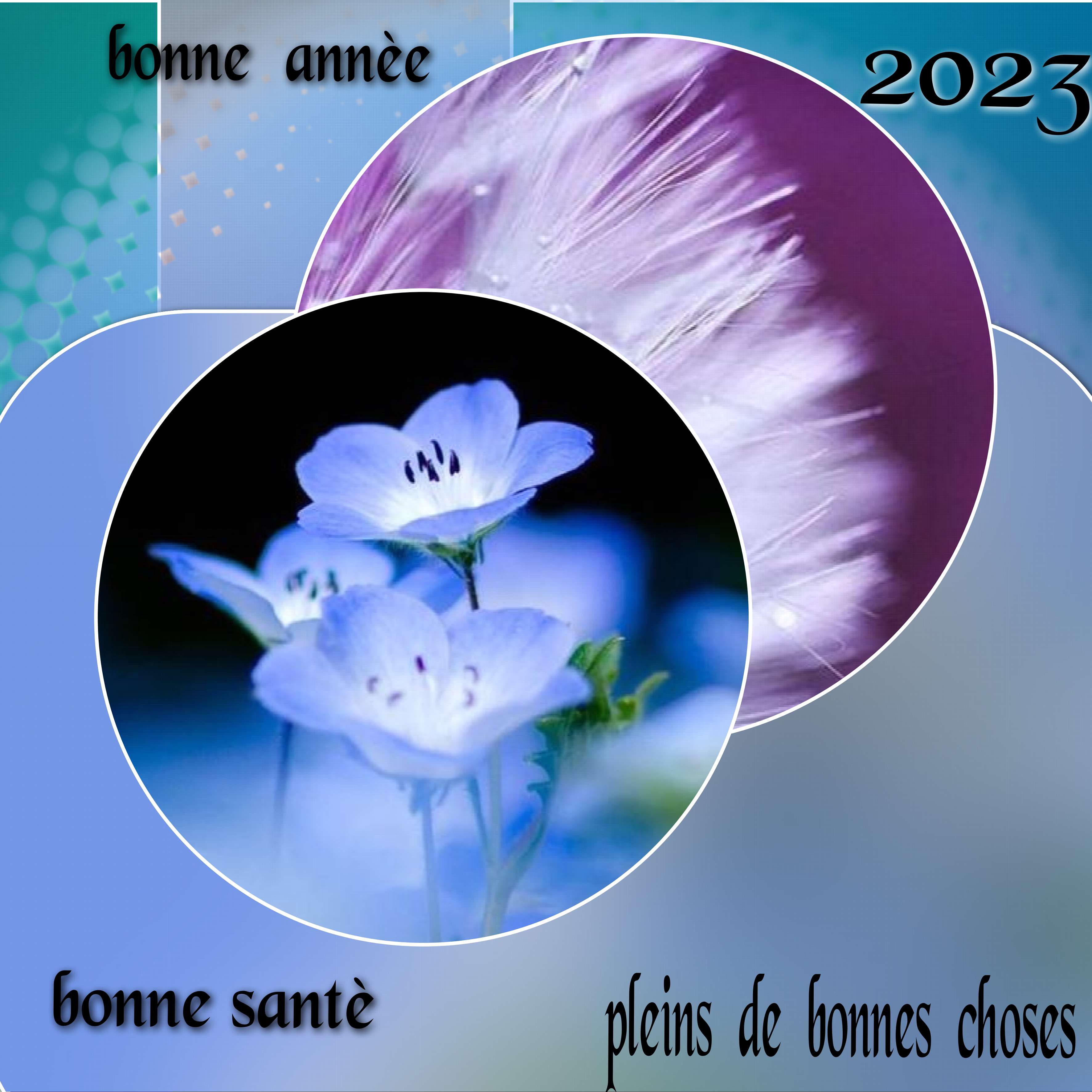 tout  mes bons  voeux.jpg