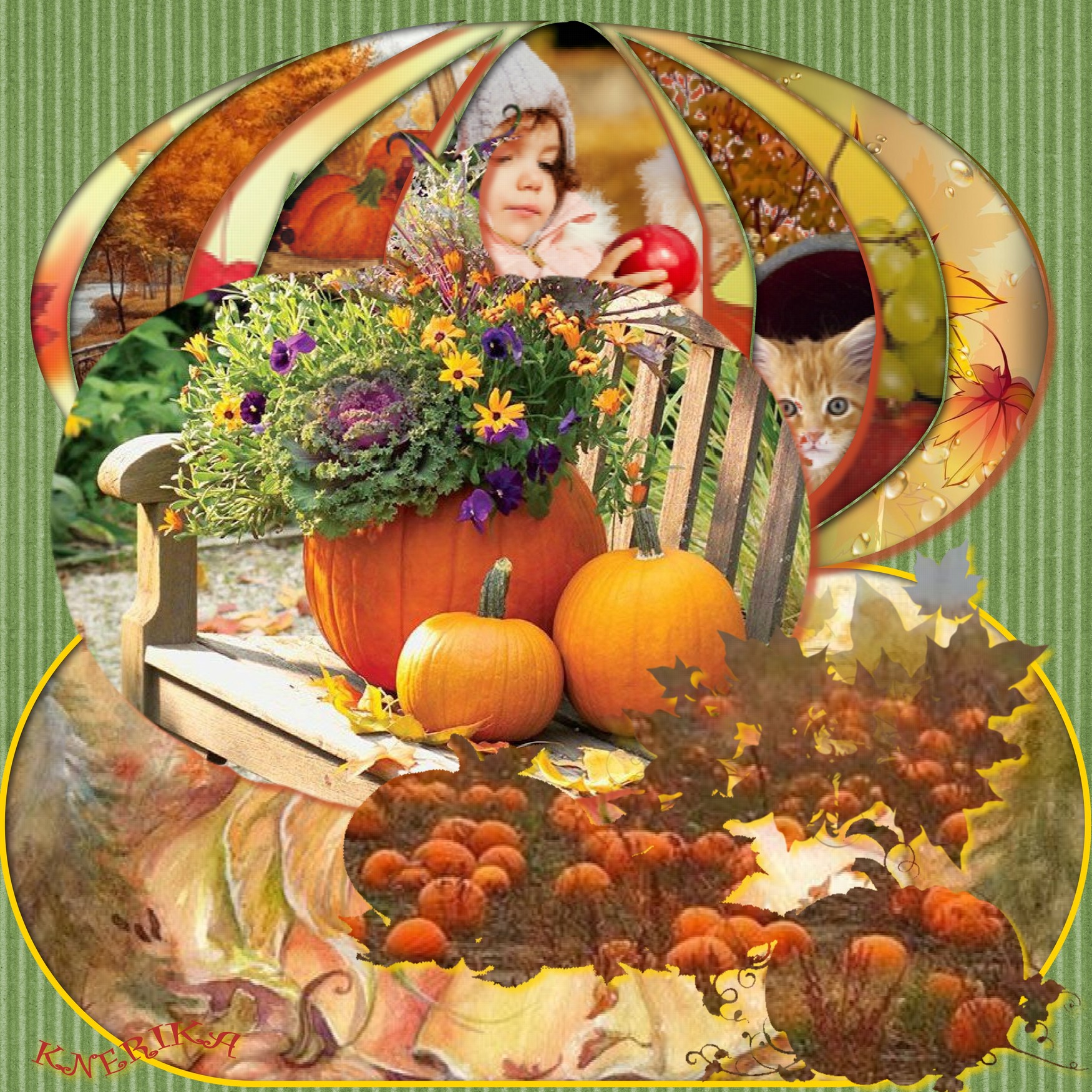 tout roussitet s'arrondit_.jpg