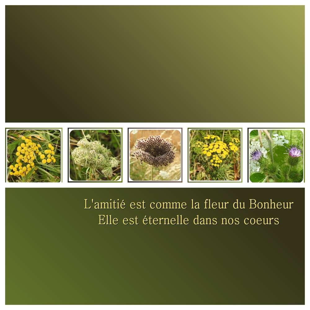 TOUT SIMPLEMENT MERCI - AMITIES