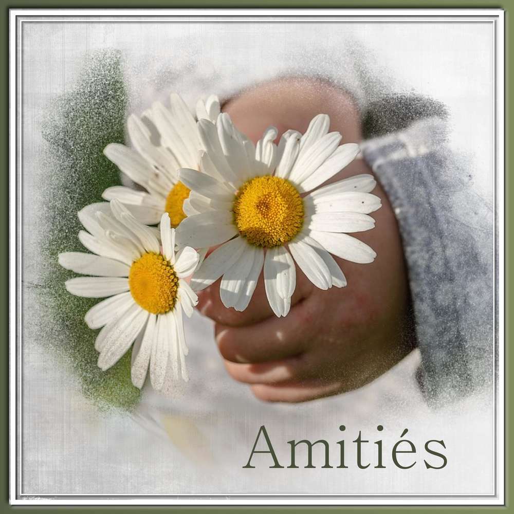 TOUT SIMPLEMENT MERCI - AMITIES