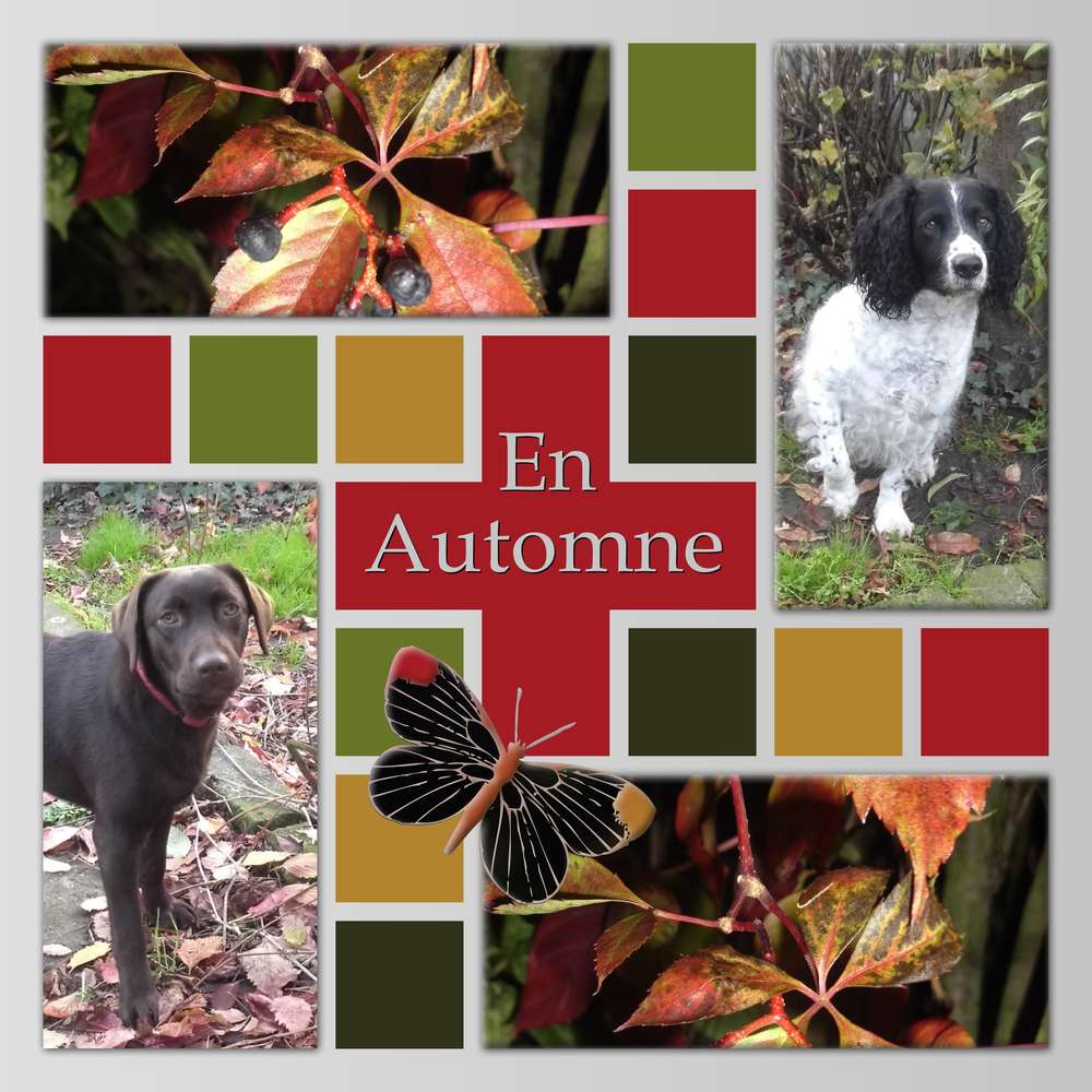 TOUT SIMPLEMENT MERCI - EN AUTOMNE