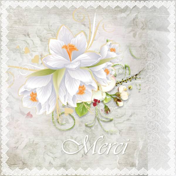 TOUT SIMPLEMENT - MERCI