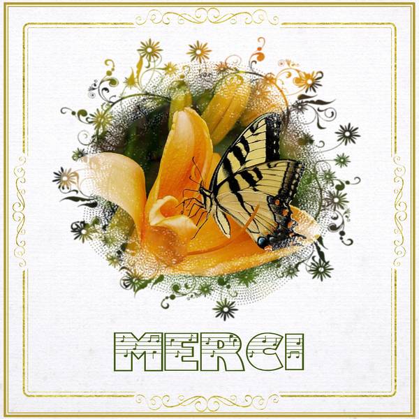 TOUT SIMPLEMENT MERCI