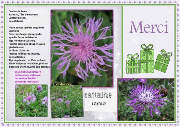 TOUT SIMPLEMENT MERCI