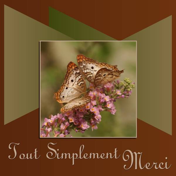 TOUT SIMPLEMENT MERCI