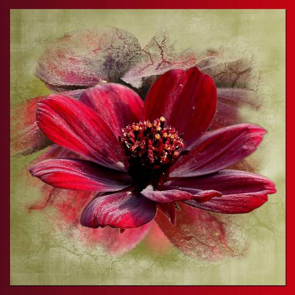 TOUT SIMPLEMENT MERCI