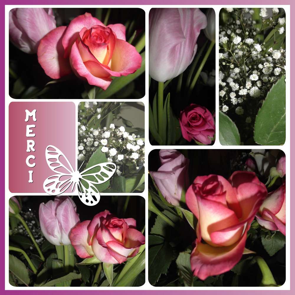 TOUT SIMPLEMENT MERCI