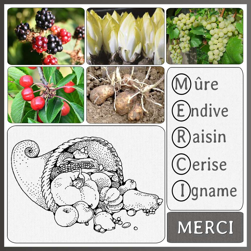 TOUT SIMPLEMENT MERCI