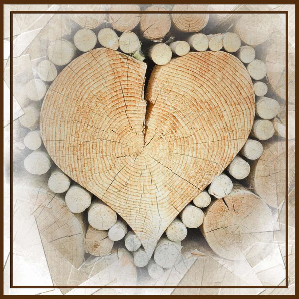 TOUT SIMPLEMENT MERCI