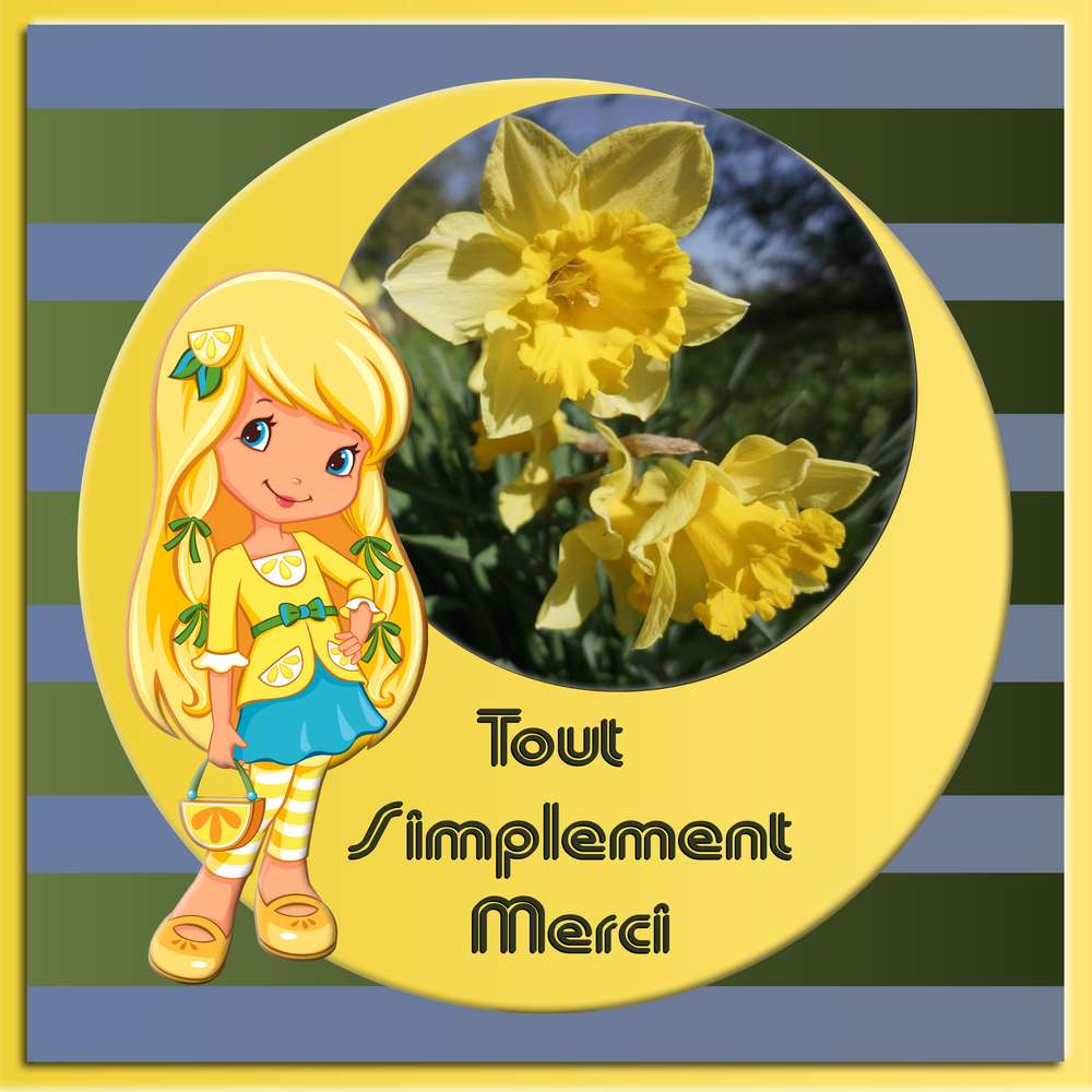 TOUT SIMPLEMENT MERCI