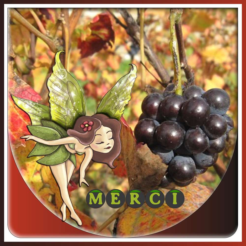 TOUT SIMPLEMENT MERCI