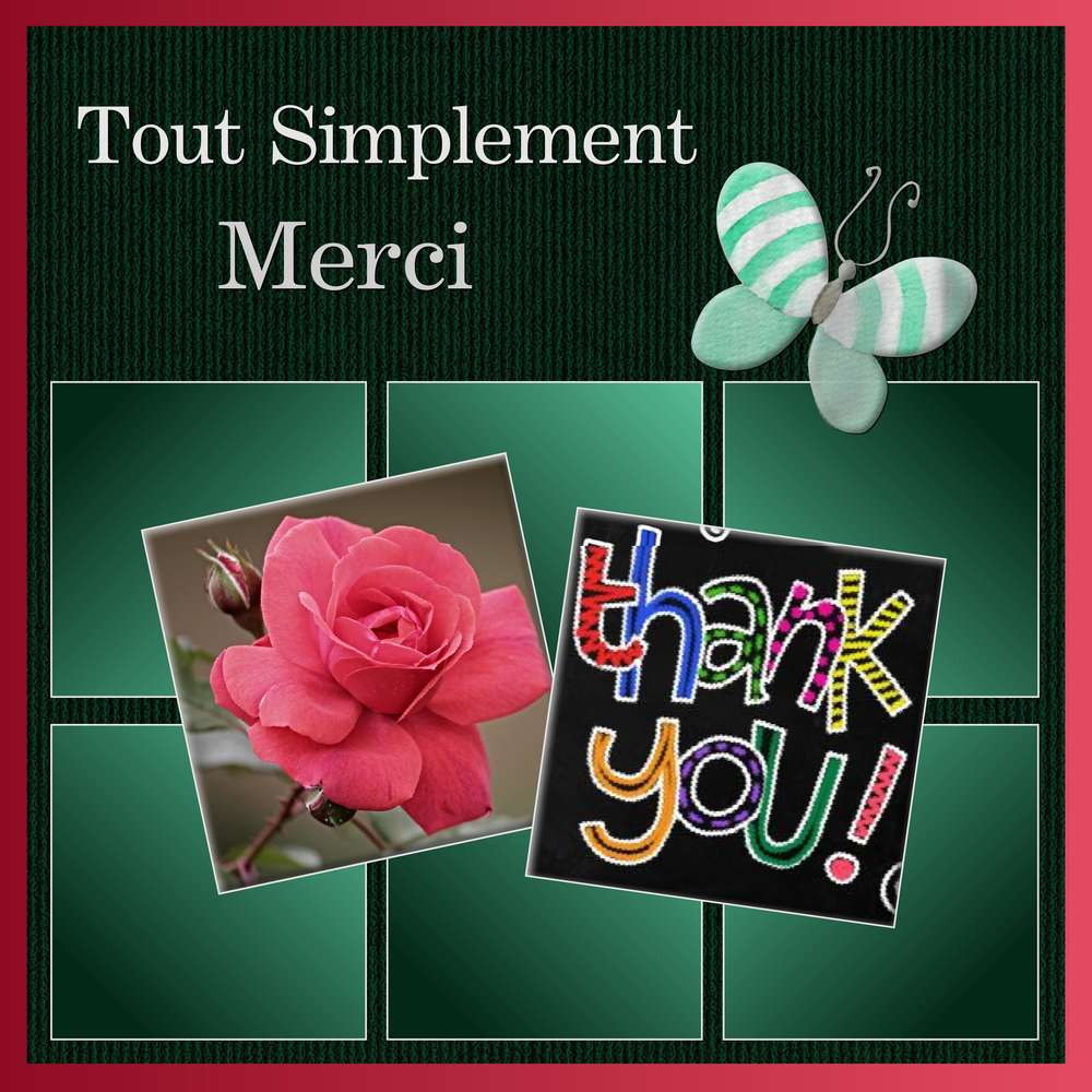TOUT SIMPLEMENT MERCI