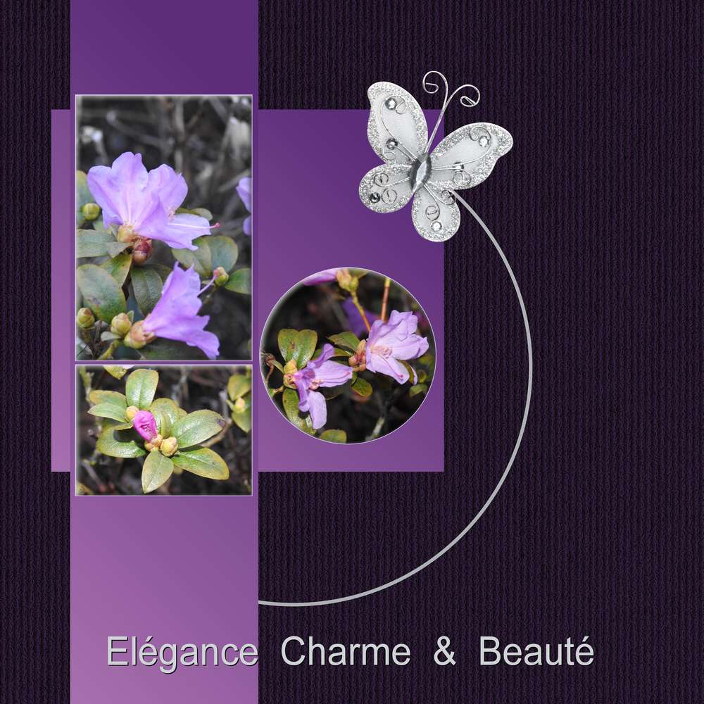 TOUT SIMPLEMENT MERCI