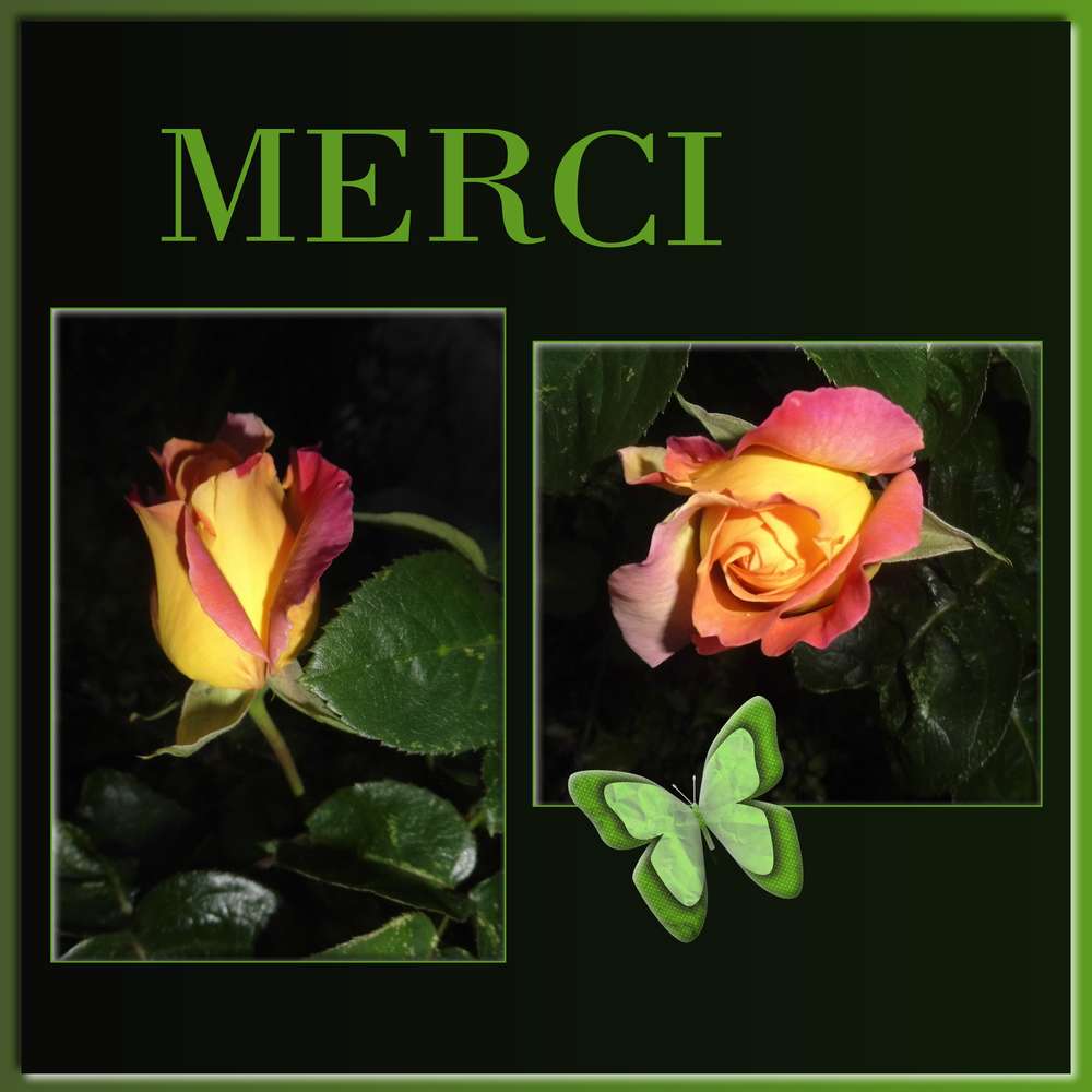 TOUT SIMPLEMENT MERCI