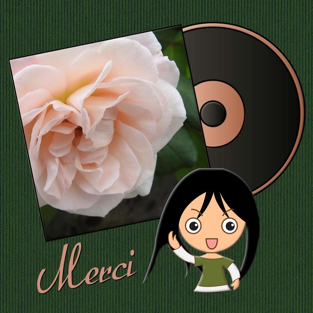 TOUT SIMPLEMENT MERCI