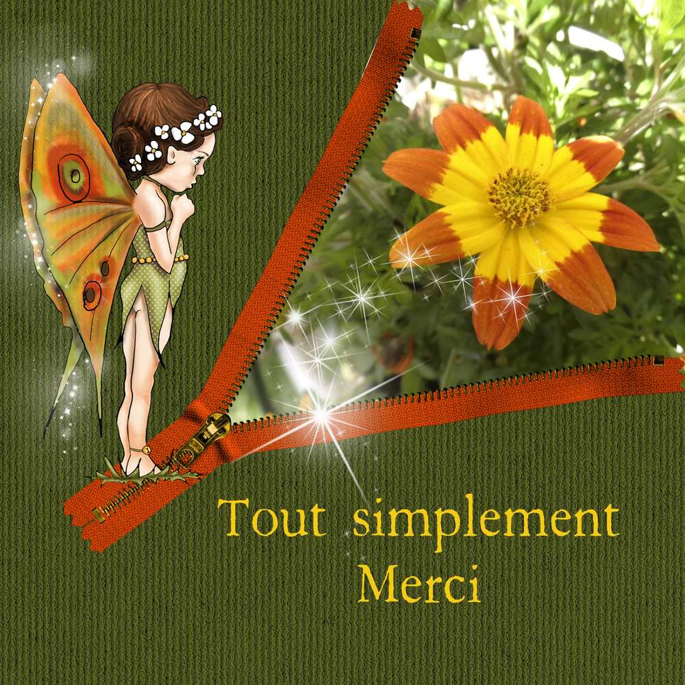TOUT SIMPLEMENT MERCI
