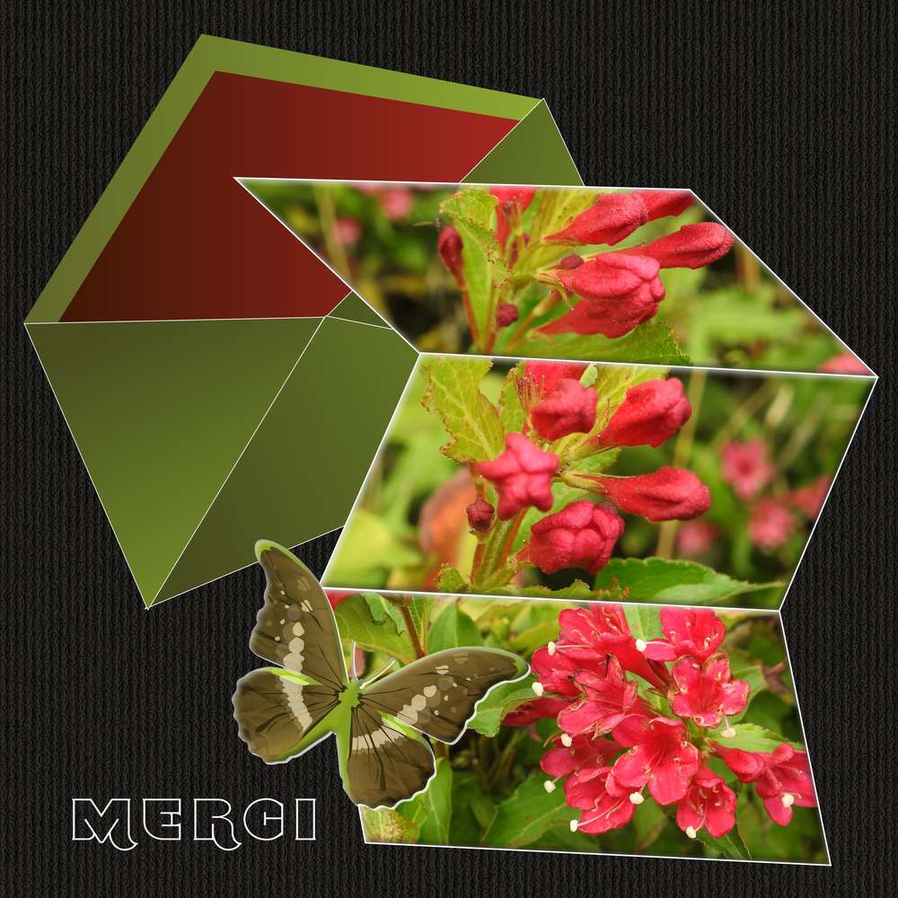 TOUT SIMPLEMENT MERCI