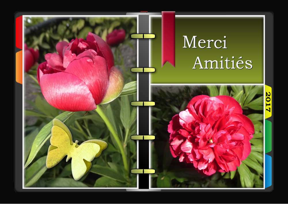 TOUT SIMPLEMENT MERCI