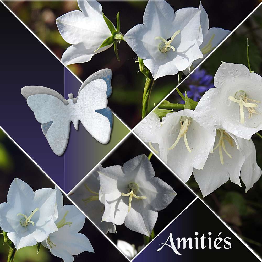 TOUT SIMPLEMENT MERCI