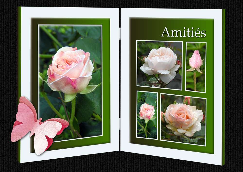 TOUT SIMPLEMENT MERCI