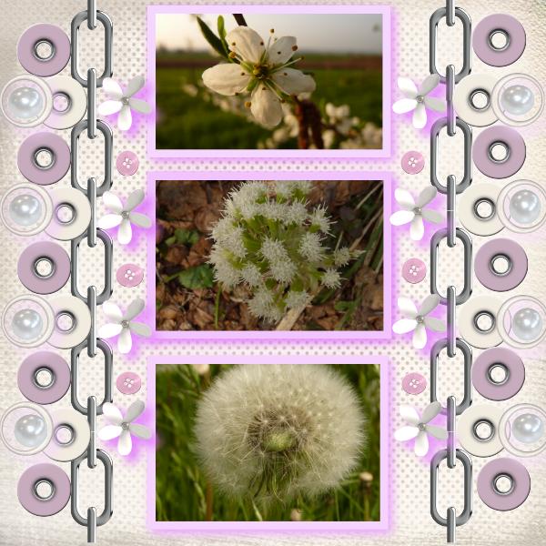 Tout simplement nature..