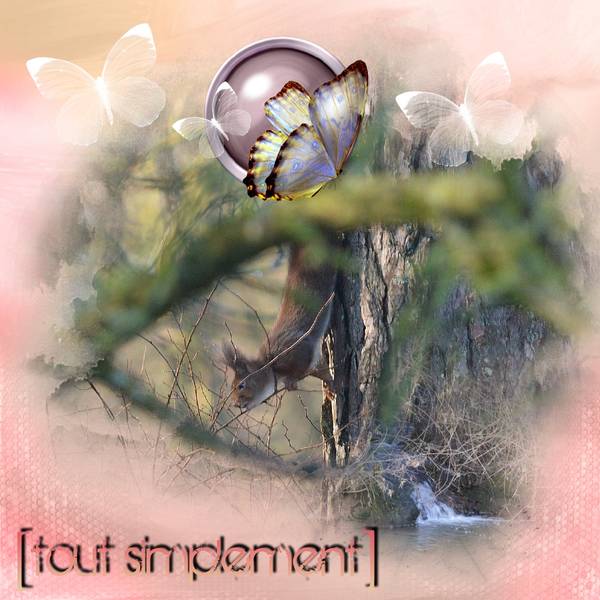 tout_simplement_nature