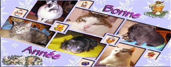 Toute la famille pour la nouvelle année